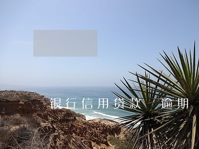银行信用贷款 逾期 判刑吗 银行信用贷款 逾期 判刑吗